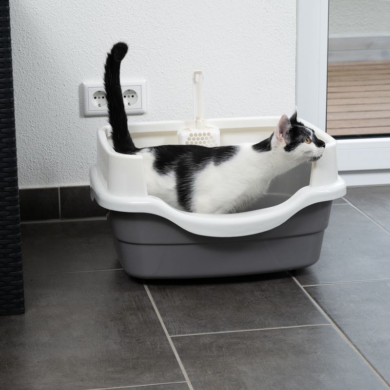 Black and white cat in a grey litter tray with white rim and integrated scoop holder. Product shows use of the litter tray.