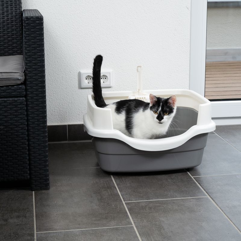 Black and white cat sitting in a grey litter tray with a white rim, on a tiled floor next to rattan furniture and a power socket.