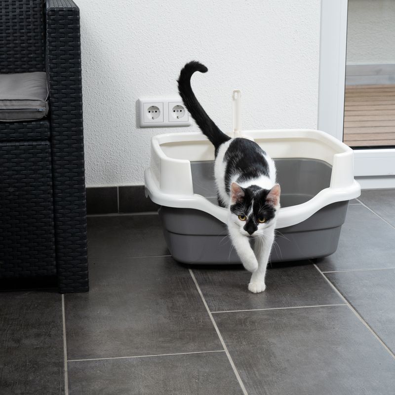 Black and white cat leaving a grey litter tray with a white rim. Litter tray on tiled floor next to a piece of furniture and a wall socket.