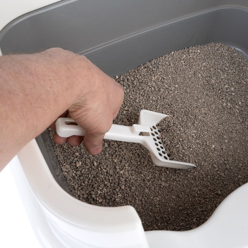 Hand holding white litter scoop, removing clumps from cat litter tray with grey cat litter.