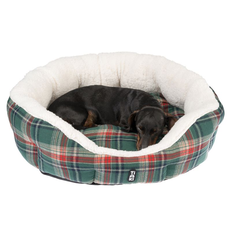 Dog sleeping in a round dog bed with green-red check pattern and white plush edge. Brand Trixie.