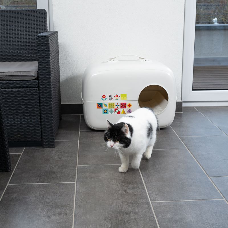 White cat litter box with colourful patterns, oval entrance. Black and white cat standing in front on grey tiled floor.