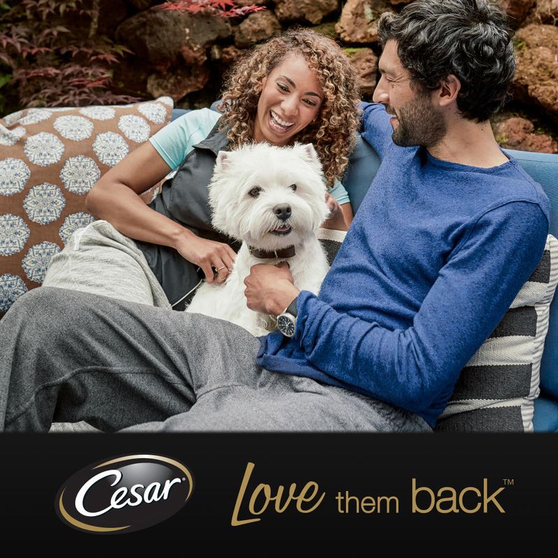Cesar Classic Trays 14 x 150g || Cesar || view 8