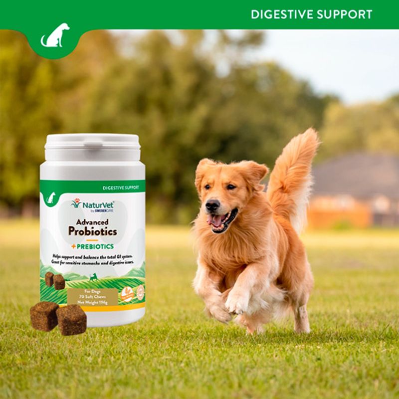 NaturVet Advanced Probiotics+ || NaturVet || view 3