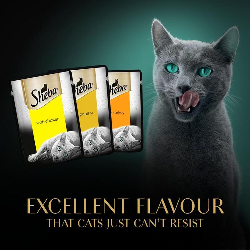 Sheba Fresh & Fine in Gravy Mini Pouches 50 x 50g || Sheba || view 11