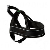 Black padded dog harness with reflective strip, metal ring for lead attachment, and adjustable straps. Small green label with yellow text visible on top strap.