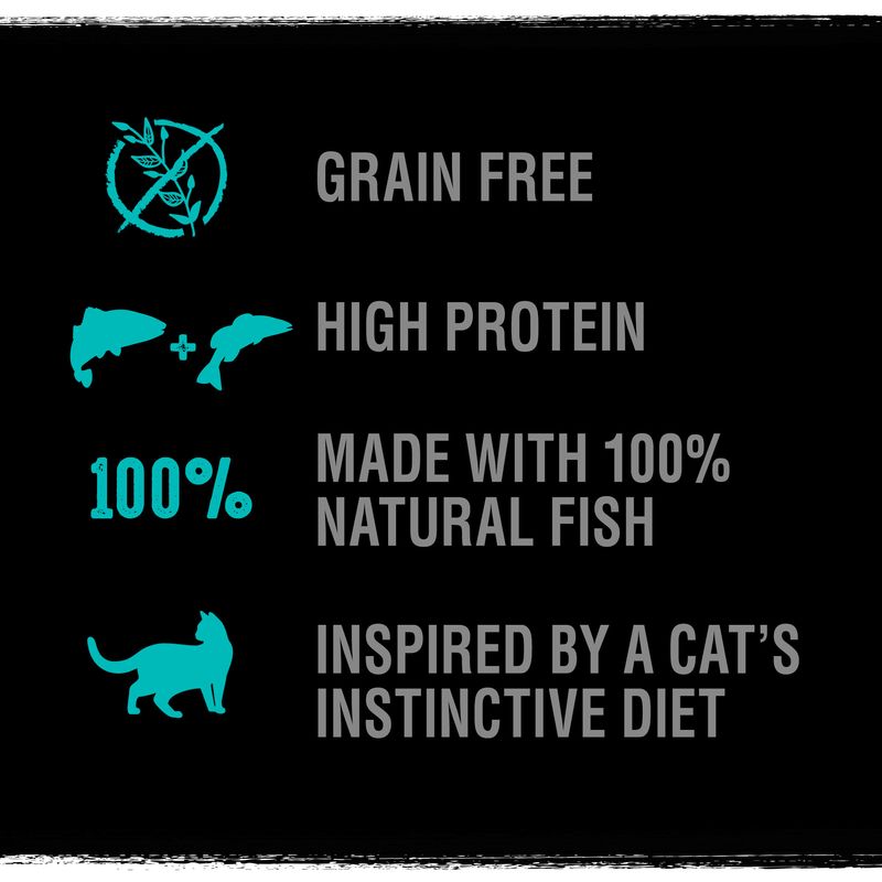 CRAVE Adult Salmon & Whitefish Dry Cat Food || Crave || view 3