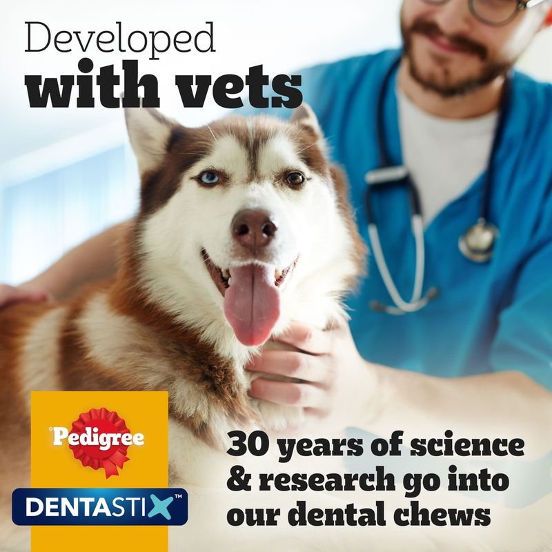 Pedigree Dentastix - Daily Oral Care for Large Dogs (>25kg) || Pedigree || view 14