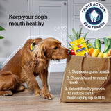 Pedigree Dentastix Fresh - Daily Oral Care for Large Dogs (>25kg) || Pedigree || view 5