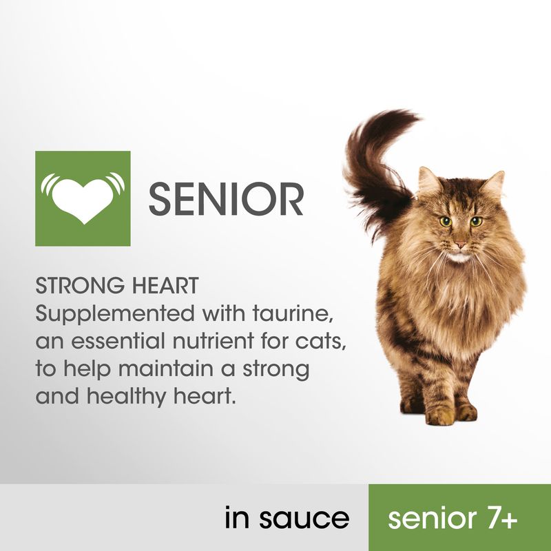 Perfect Fit Senior 7+ Pouches – Mixed Pack in Sauce || undefined || view 2