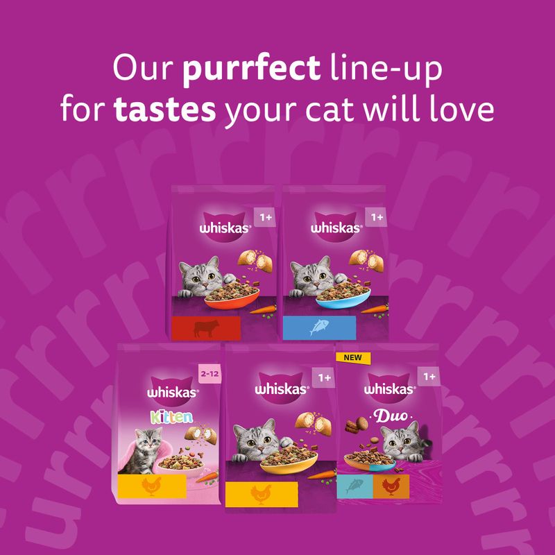 Five Whiskas cat food packs with various flavours and age specifications, Text: Our purrfect line-up for tastes your cat will love.