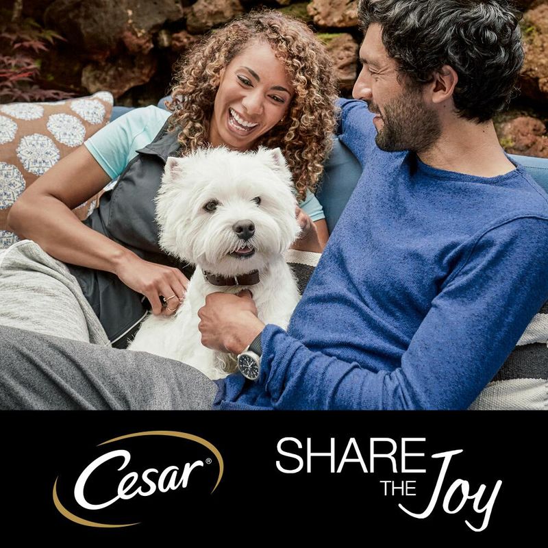 Cesar Classic Terrine Mixed Pack || Cesar || view 8