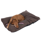Brown dog cushion with striped design and logo, a brown dog lying on it. Product shown in use.