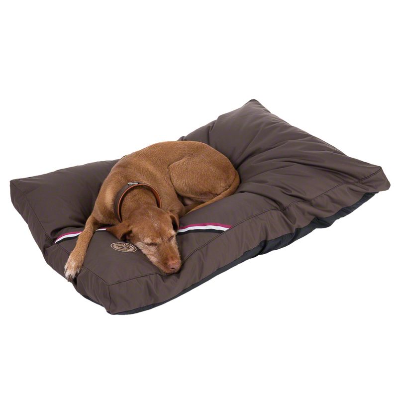 Brown dog cushion with striped design and logo, a brown dog lying on it. Product shown in use.