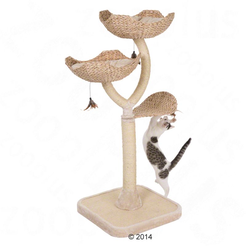Cat tree made from natural materials with three levels, toy hanger and sisal post. Cat playing at the lower part of the cat tree.