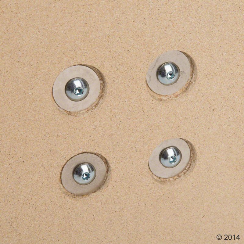Close-up of four metal screws with washers embedded in a wooden board.