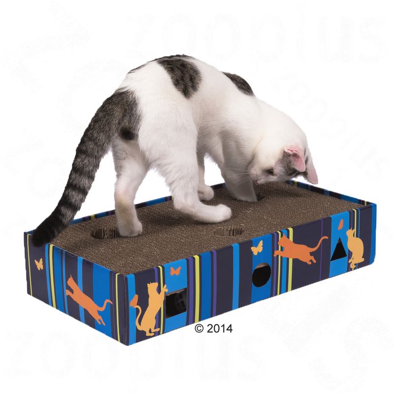 White cat with black spots playing on a cardboard scratch board with colourful cat and butterfly design.
