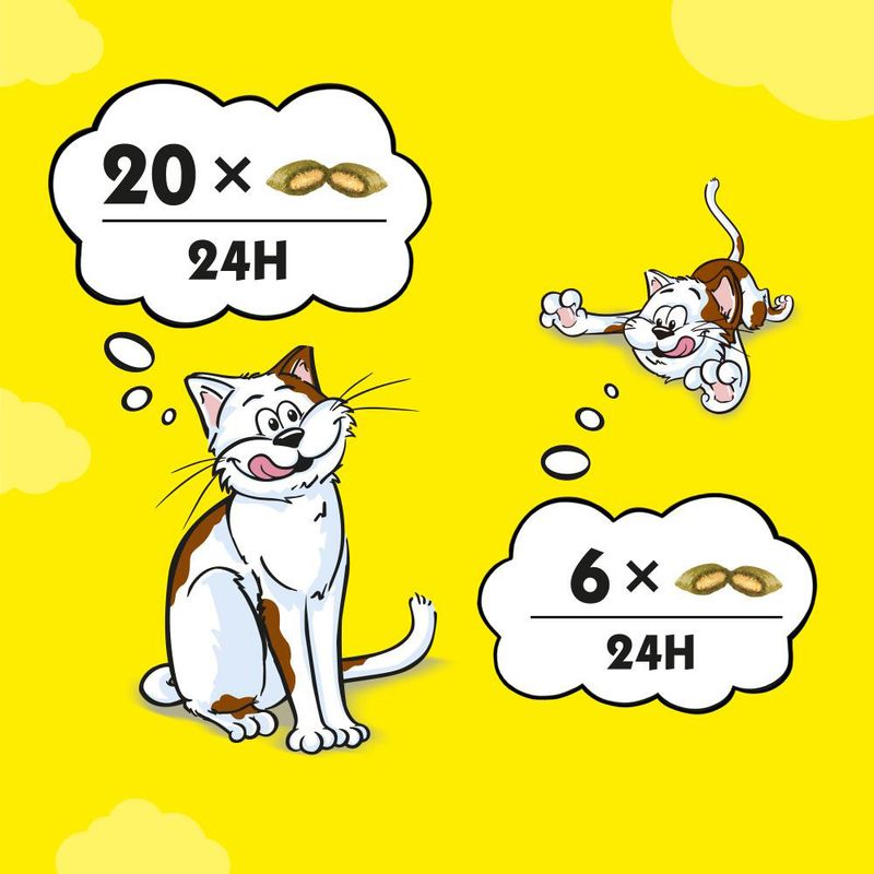 Dreamies Mega Tub || undefined || view 24