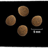 CRAVE Adult Beef & Chicken Dry Cat Food || Crave || view 5