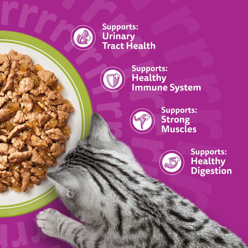 Whiskas 7+ Senior Mixed Menu Pouches in Jelly