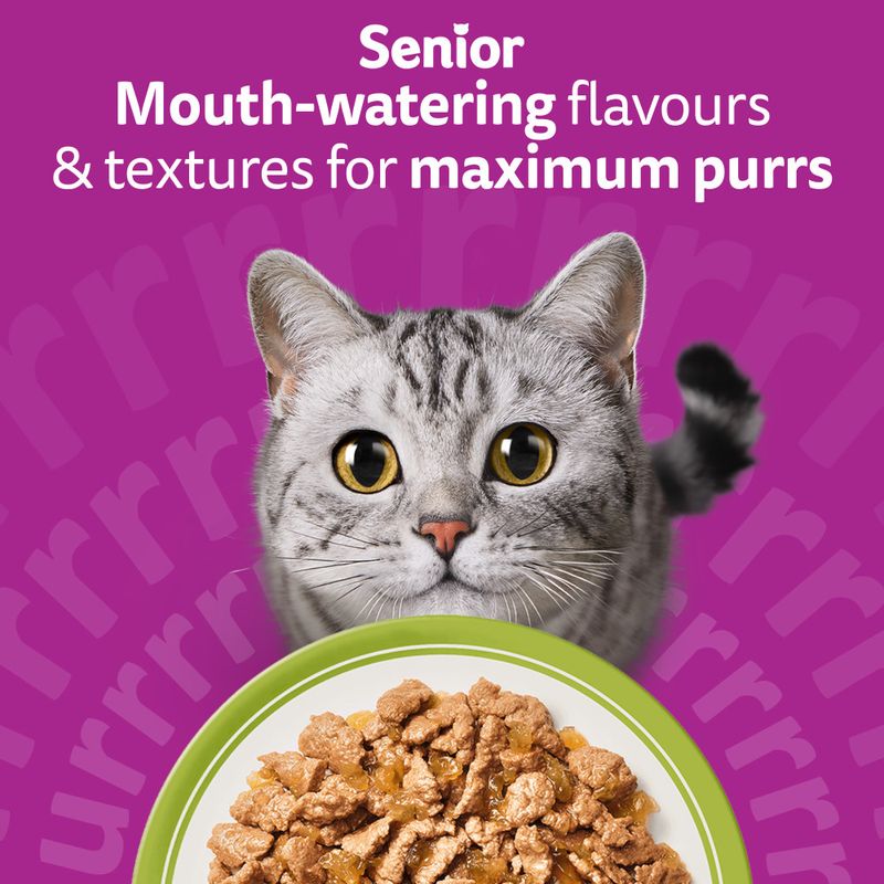 Whiskas 7+ Senior Mixed Menu Pouches in Jelly
