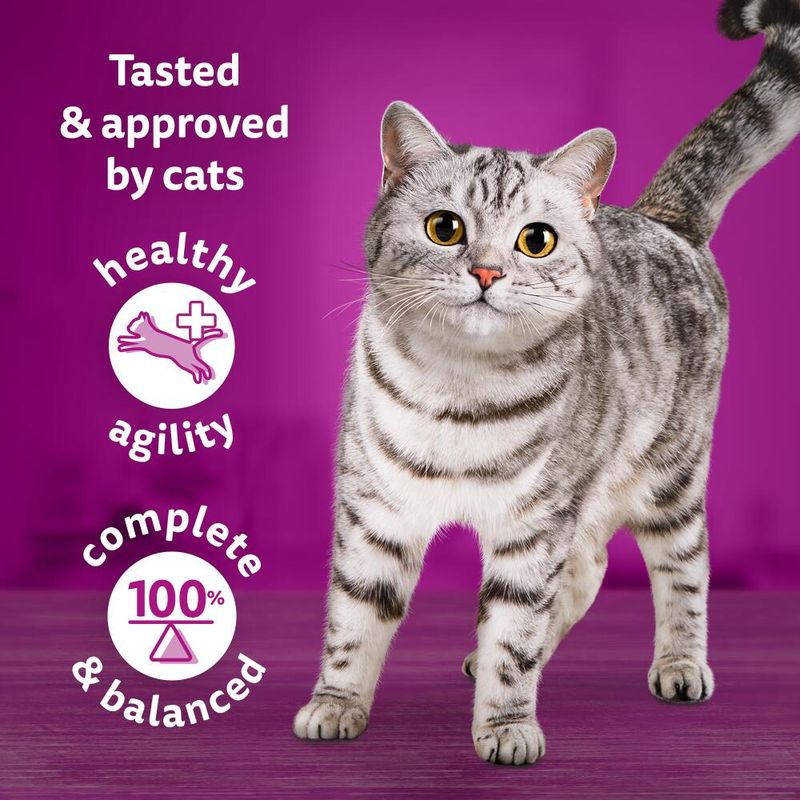 Whiskas 1+ Tasty Mix Country Collection in Gravy || Whiskas || view 3
