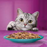 Whiskas 1+ Duo Ocean Delights in Jelly || undefined || view 7