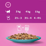 Whiskas 1+ Duo Ocean Delights in Jelly || undefined || view 5