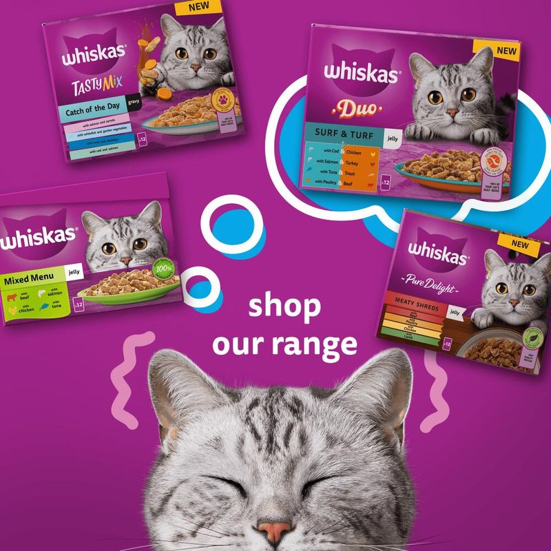 Whiskas 1+ Poultry Feasts in Jelly || undefined || view 16