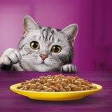 Whiskas 1+ Poultry Feasts in Gravy || undefined || view 10