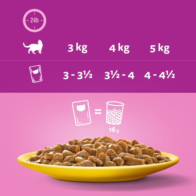 Whiskas 1+ Poultry Feasts in Gravy || undefined || view 6