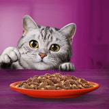 Whiskas 1+ Meaty Meals in Jelly || Whiskas || view 7