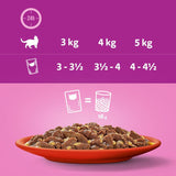 Whiskas 1+ Meaty Meals in Jelly || Whiskas || view 4