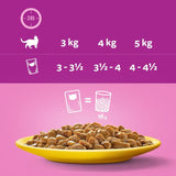 Whiskas 7+ Senior Pouches in Gravy || undefined || view 5