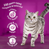 Whiskas 1+ Salmon || undefined || view 4