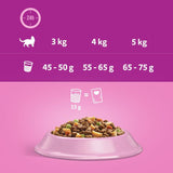 Whiskas 1+ Salmon || undefined || view 6