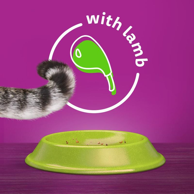 Whiskas 1+ Lamb || Whiskas || view 15