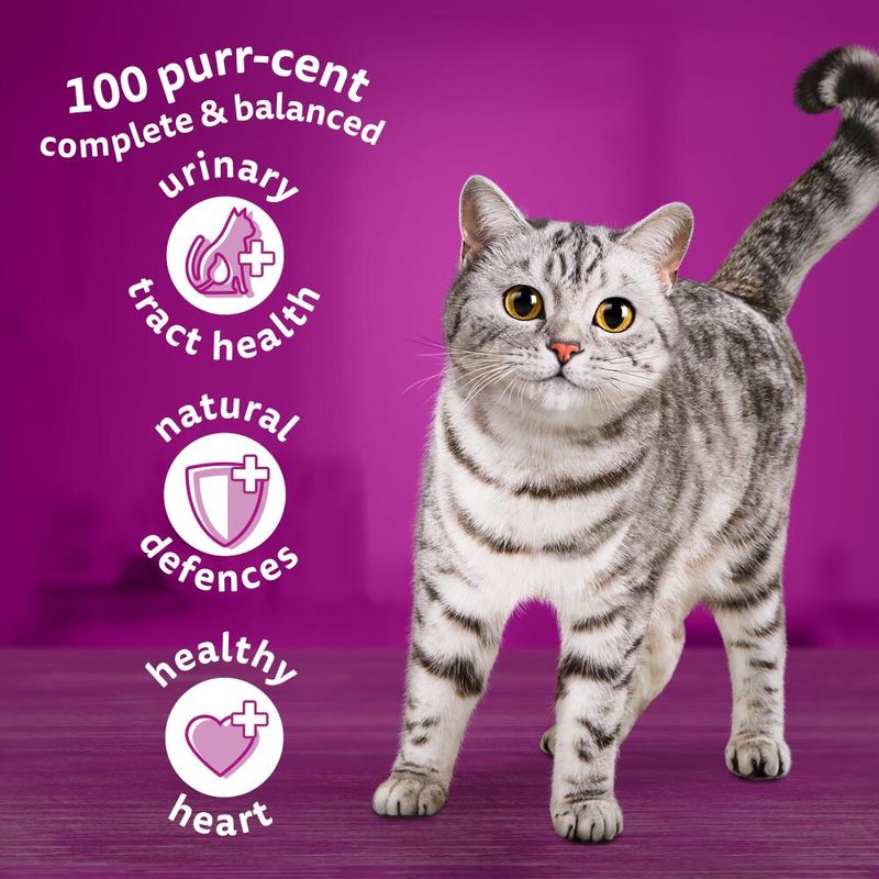 Whiskas Senior 7+ Chicken || undefined || view 4