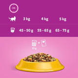 Whiskas 1+ Chicken || undefined || view 20