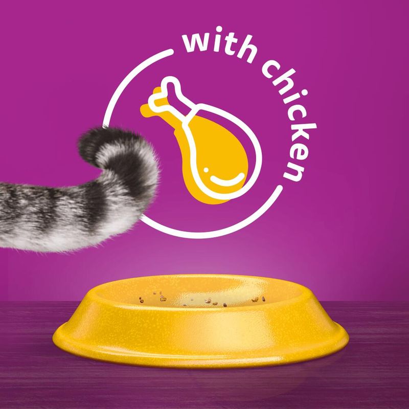 Whiskas 1+ Chicken || undefined || view 22