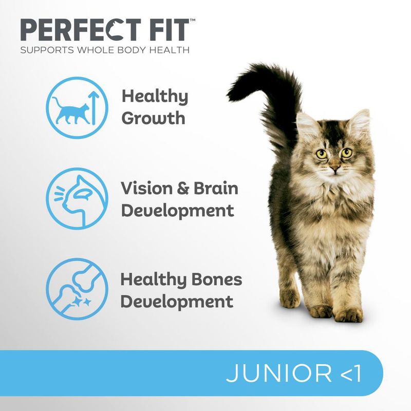 Perfect Fit Junior <1 Rich in Chicken || undefined || view 4