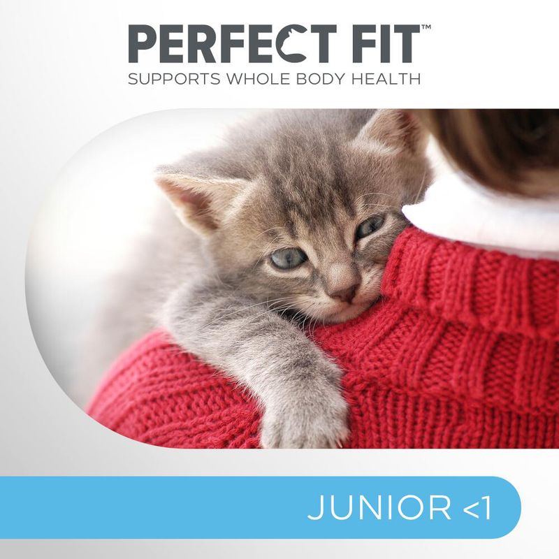 Perfect Fit Junior <1 Rich in Chicken || undefined || view 9