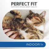 Perfect Fit Indoor 1+ Rich in Chicken || undefined || view 8