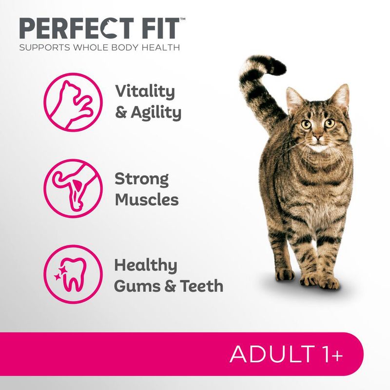 Perfect Fit Adult 1+ Rich in Chicken || undefined || view 3