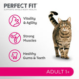 Perfect Fit Adult 1+ Rich in Salmon || undefined || view 3