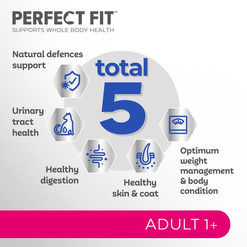 Perfect Fit Adult 1+ Rich in Salmon || undefined || view 4