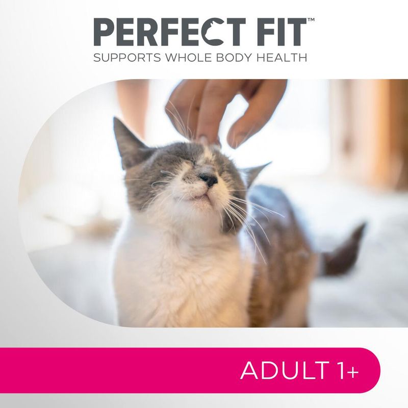 Perfect Fit Adult 1+ Rich in Salmon || undefined || view 9