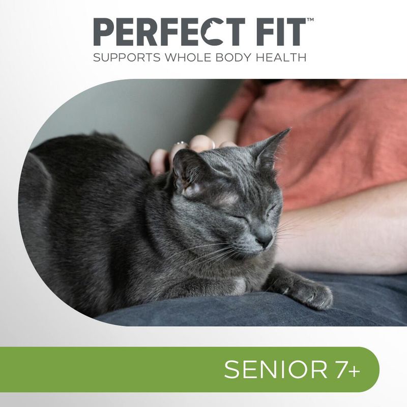 Perfect Fit Senior 7+ Rich in Chicken || undefined || view 8
