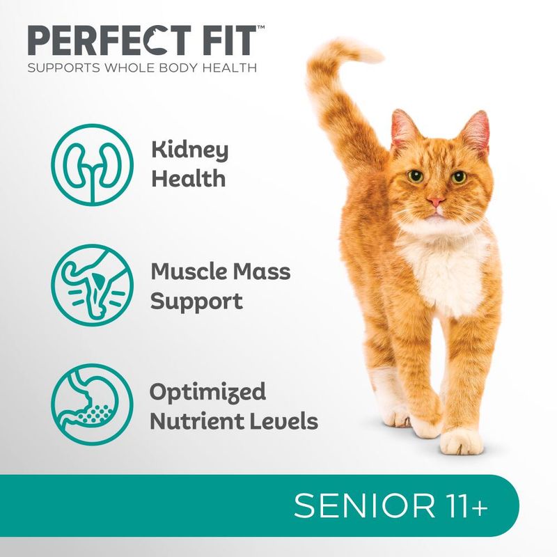 Perfect Fit Senior 11+ Rich in Chicken || undefined || view 2