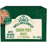 James Wellbeloved Adult Cat Hypoallergenic Pouches - Salmon in Jelly || James Wellbeloved || view 1
